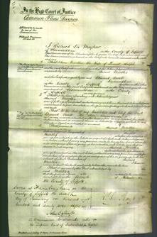 Court of Common Pleas - Martha Ralph-Original Ancestry