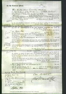 Court of Common Pleas - Lucy Smith-Original Ancestry