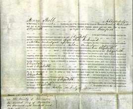 Court of Common Pleas - Elizabeth Barnforth-Original Ancestry