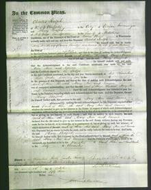 Court of Common Pleas - Mary Ann Berridge and Emma Balmer-Original Ancestry