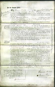 Court of Common Pleas - Nancy Burgess and Elizabeth Grice-Original Ancestry