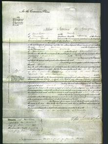 Court of Common Pleas - Sarah Gwilliam-Original Ancestry