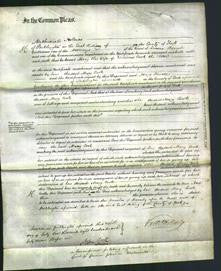 Court of Common Pleas - Mary Cook-Original Ancestry