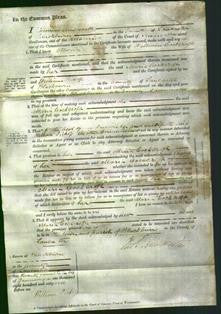 Court of Common Pleas - Maria Cockcroft-Original Ancestry