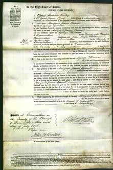 Court of Common Pleas - Margaret James Spurrell-Original Ancestry