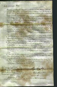 Court of Common Pleas - Sarah Spurr-Original Ancestry