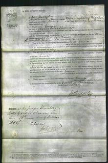 Court of Common Pleas - Emma Plumridge-Original Ancestry