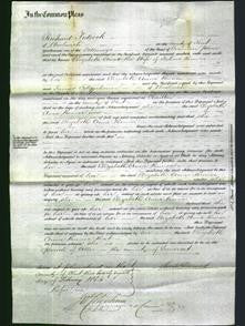 Court of Common Pleas - Elizabeth Anne Bunce-Original Ancestry