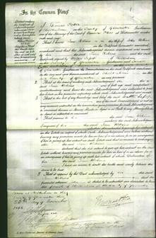 Court of Common Pleas - Jane Robins-Original Ancestry