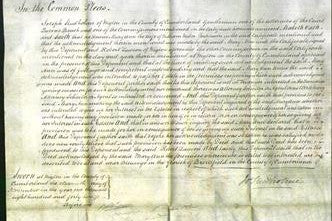 Court of Common Pleas - Mary Ann Parkinson-Original Ancestry