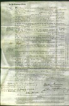 Court of Common Pleas - Agnes Dickinson-Original Ancestry