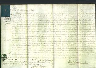 Court of Common Pleas - Sophia Jenkins-Original Ancestry
