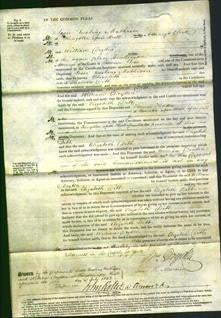 Court of Common Pleas - Elizabeth Dibb-Original Ancestry