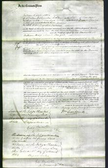 Court of Common Pleas - Harriet Halahan-Original Ancestry