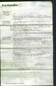 Court of Common Pleas - Mary Ann Plaistowe-Original Ancestry