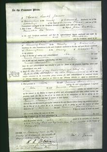 Court of Common Pleas - Emma Hamilton-Original Ancestry