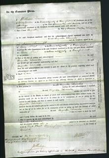 Court of Common Pleas - Augusta Edwardes-Original Ancestry