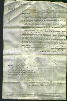 Court of Common Pleas - Emily Phillips