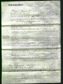 Court of Common Pleas - Jane Lake-Original Ancestry