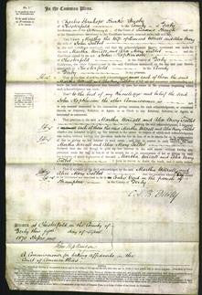 Court of Common Pleas - Martha Worrell and Alice Mary Talbot-Original Ancestry