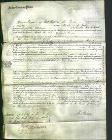 Court of Common Pleas - Sarah Peirson-Original Ancestry