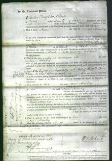 Court of Common Pleas - Anne Manley-Original Ancestry