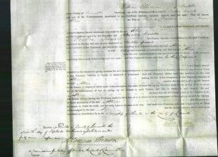 Court of Common Pleas - Alice Davison-Original Ancestry