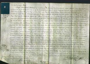 Court of Common Pleas - Mary Reed, Eliza Reed-Original Ancestry