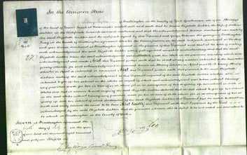 Court of Common Pleas - Elizabeth Sinkler-Original Ancestry