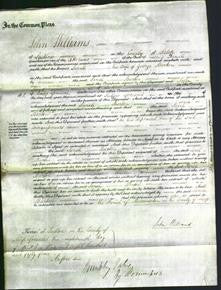 Court of Common Pleas - Sarah Burton-Original Ancestry