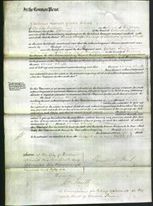Court of Common Pleas - Sarah Shafto-Original Ancestry