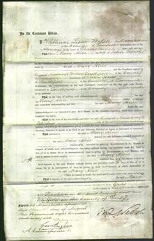 Court of Common Pleas - Mary Alice Smith-Original Ancestry