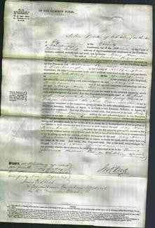 Court of Common Pleas - Mary Ann Burham-Original Ancestry