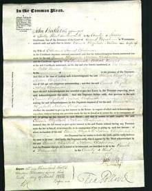 Court of Common Pleas - Emma Elizabeth Nelson Chapman-Original Ancestry