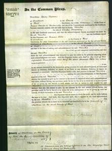 Court of Common Pleas - Martha Brenchley-Original Ancestry