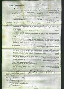 Court of Common Pleas - Maria Appold-Original Ancestry