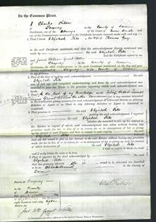 Court of Common Pleas - Elizabeth Pitts Guy-Original Ancestry