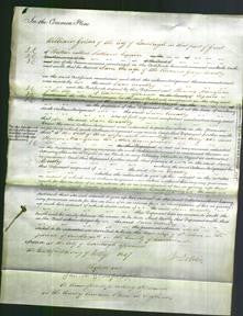 Court of Common Pleas - Jane Coventry-Original Ancestry