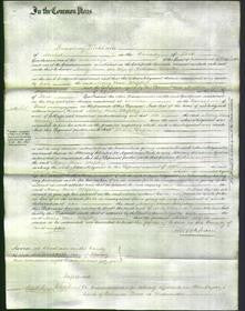 Court of Common Pleas - Mary Ann Blessley-Original Ancestry