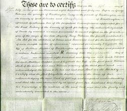 Deed by Married Women - Elizabeth Sinkler-Original Ancestry