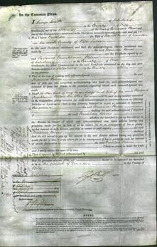 Court of Common Pleas - Matilda Reeves-Original Ancestry