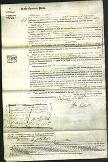 Court of Common Pleas - Anne Cumming-Original Ancestry