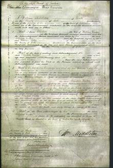 Court of Common Pleas - Elizabeth Denton-Original Ancestry