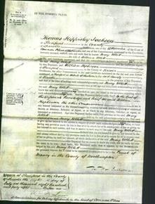 Court of Common Pleas - Mary Ullett-Original Ancestry