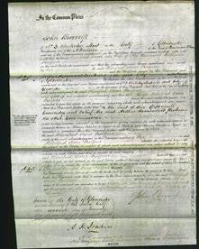 Court of Common Pleas - Winifred Ann Balfour-Original Ancestry