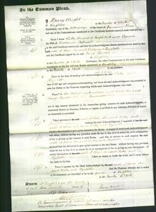 Court of Common Pleas - Betty Holt and Elizabeth Tattersall-Original Ancestry