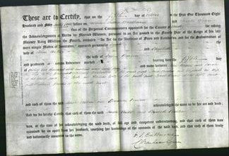 Deed by Married Women - Sarah Walker and Elizabeth Barlow-Original Ancestry