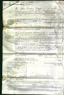 Court of Common Pleas - Jane Ellis-Original Ancestry