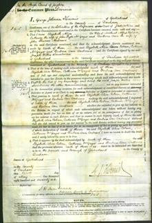 Court of Common Pleas - Elizabeth Alice Robson, Catherine McGregor and Barbara Ann Andrews-Original Ancestry