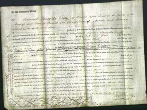 Court of Common Pleas - Sarah Clark-Original Ancestry